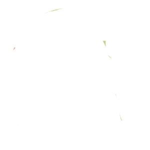 历史人文  数字人